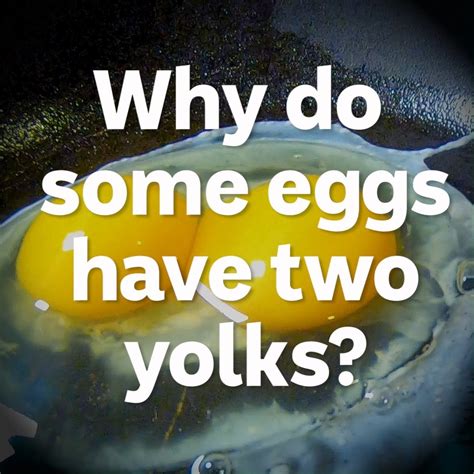 two yolks in one egg|why do some eggs have two yolks.